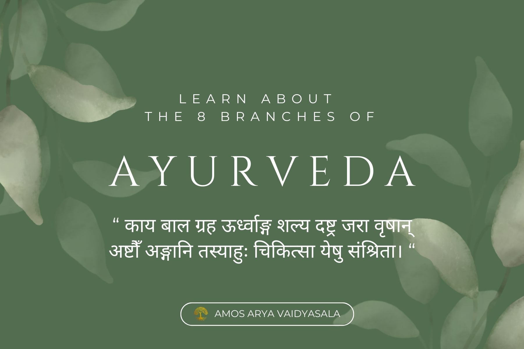 8 branches of Ayurveda